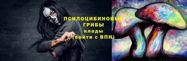 эйфоретик Краснослободск