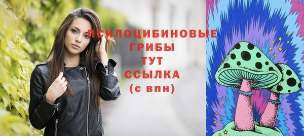 эйфоретик Краснослободск